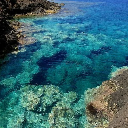 Farma Hibiscus Isola di Ustica